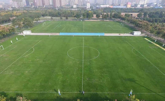 為什么越來越多的學(xué)校更喜歡“安全性”更高的人造草坪呢？